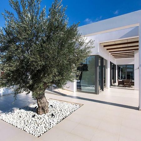 Leblanc Luxurious Beachfront Villa, Gcollectiongr エルミオニ エクステリア 写真