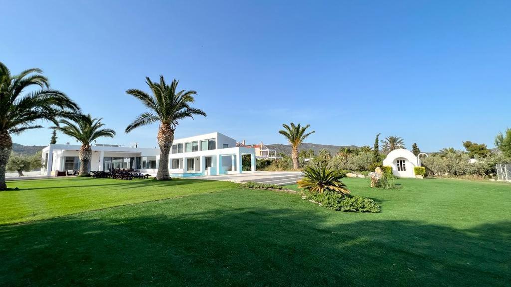 Leblanc Luxurious Beachfront Villa, Gcollectiongr エルミオニ エクステリア 写真