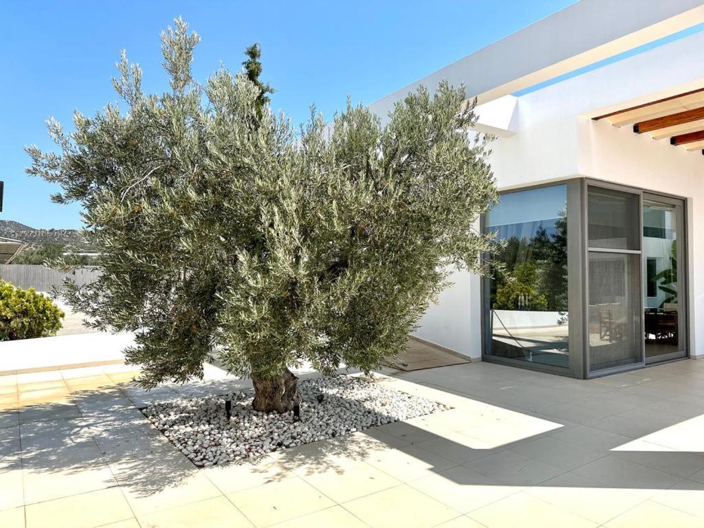 Leblanc Luxurious Beachfront Villa, Gcollectiongr エルミオニ エクステリア 写真