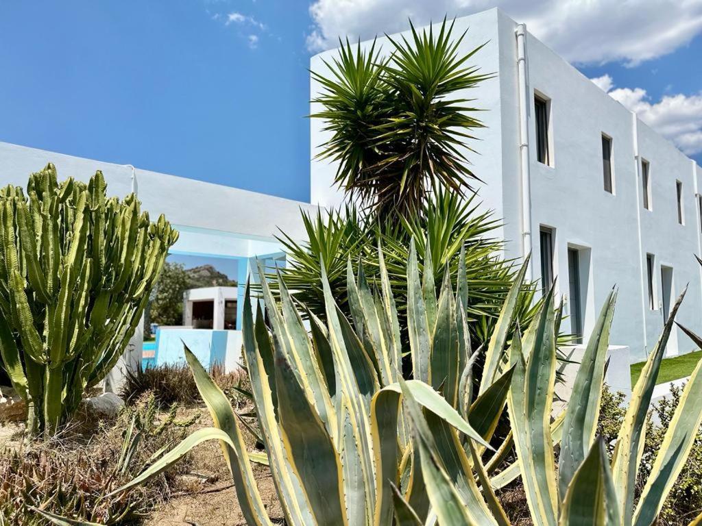 Leblanc Luxurious Beachfront Villa, Gcollectiongr エルミオニ エクステリア 写真