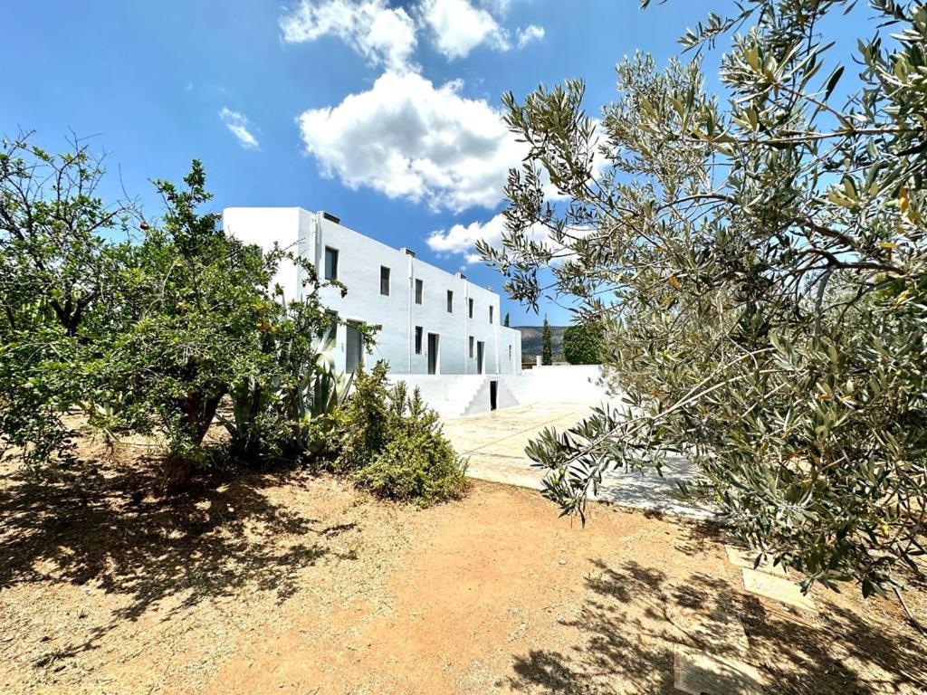 Leblanc Luxurious Beachfront Villa, Gcollectiongr エルミオニ エクステリア 写真